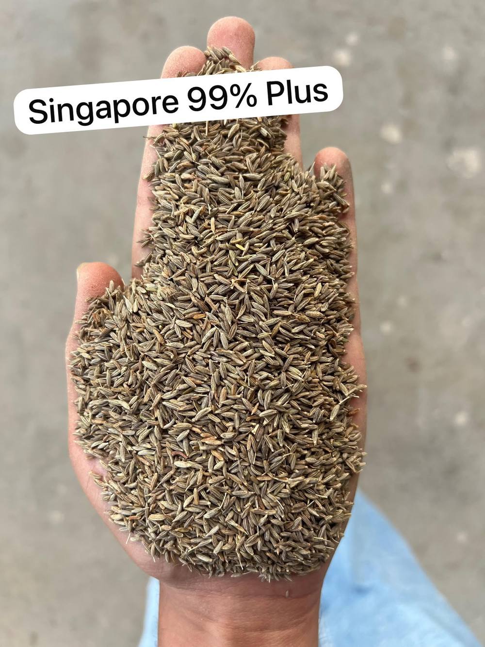 Singapore Grade 99% Plus Cumin Seeds Double Sortex — Premium Export Quality Unjha India