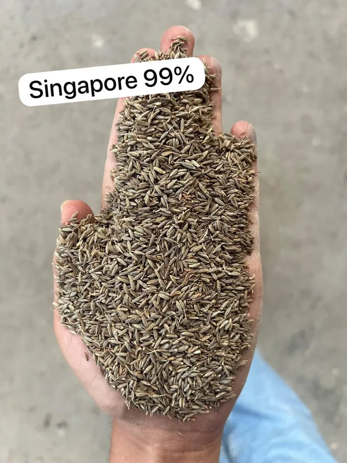 Cumin Seeds Grades India — Singapore 99% vs Europe 99.5% Quality Guide
